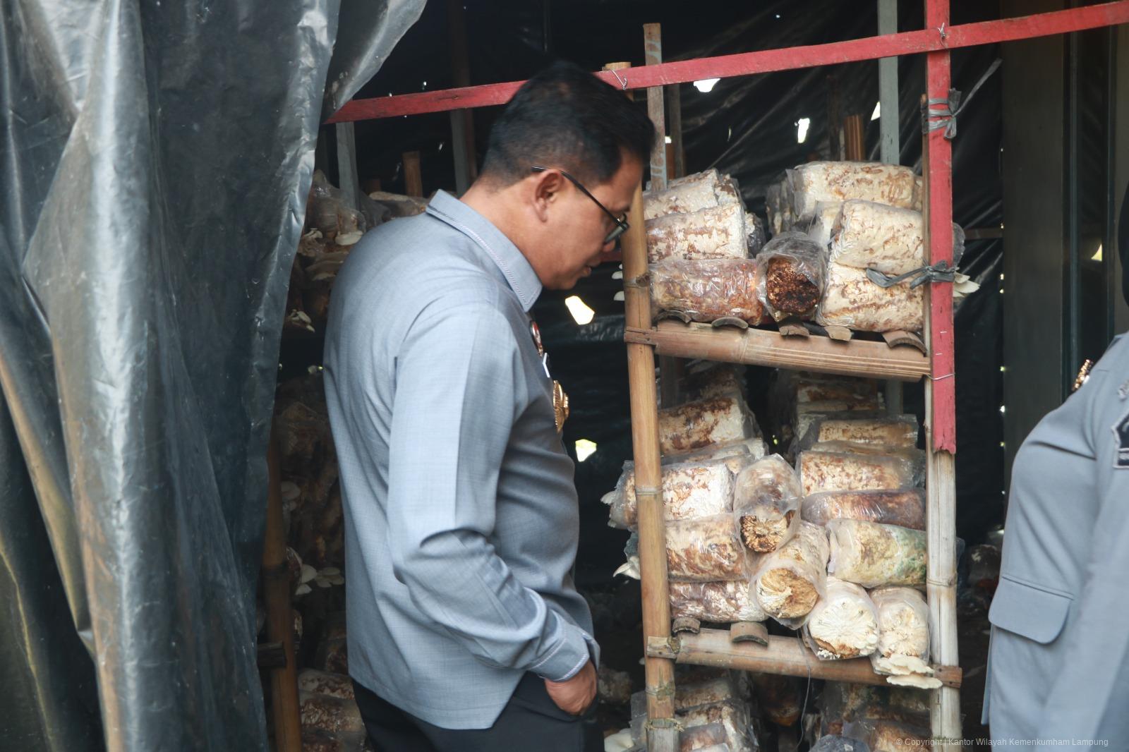 WhatsApp Image 2024 10 08 at 10.54.04 PM